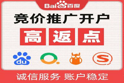 SEM推广实战：成功案例剖析